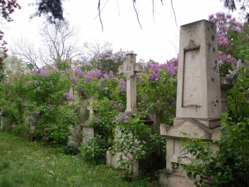 Bécs kezdőknek és haladóknak - - 8. rész: Séta a bécsi temetőkben