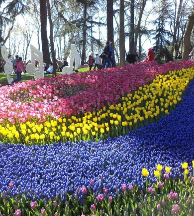 Tavaszköszöntő tulipánfesztivál Isztambulban