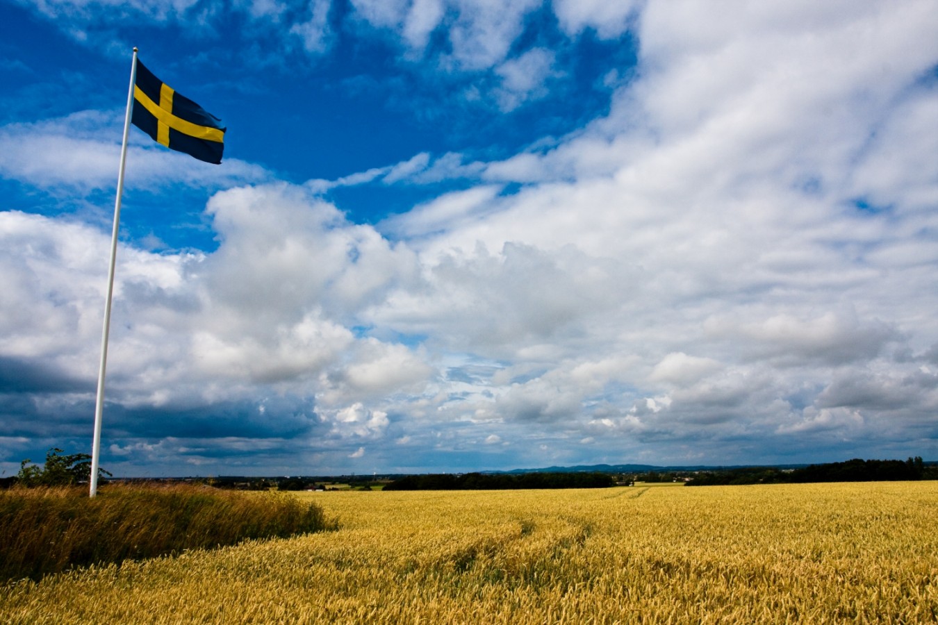 6 dolog, amit a svédektől tanultam
