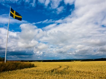 6 dolog, amit a svédektől tanultam