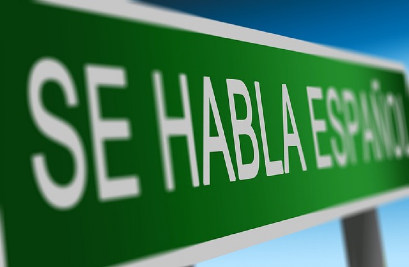 Habla español? – Avagy túlélni Amerikát