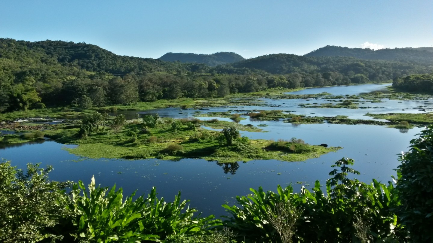 Hátizsákkal Brazíliában 1. rész - Kakaófarm az Atlanti-parti Esőerdőben